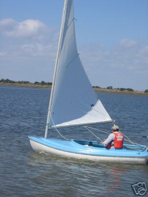 Swan sailing