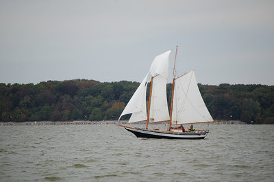 p26schoonerfisherman.jpg