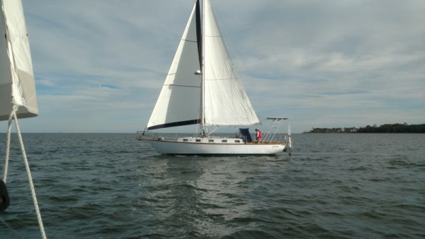 CD36 Sailing 1kb48.jpg
